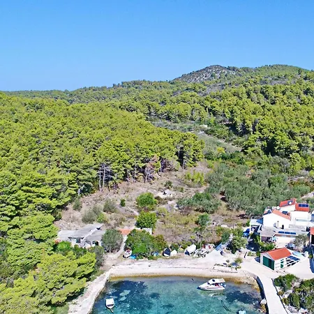 Apartment Green Bay Vela Luka