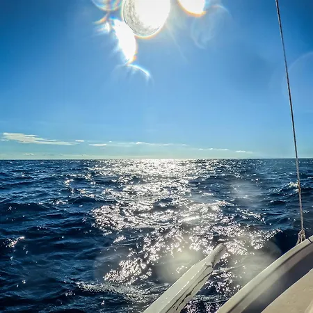 Bay *