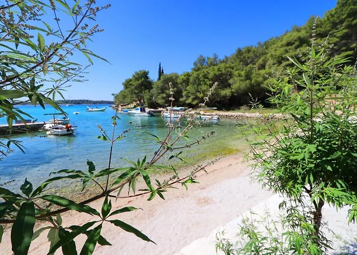 Bay * Vela Luka